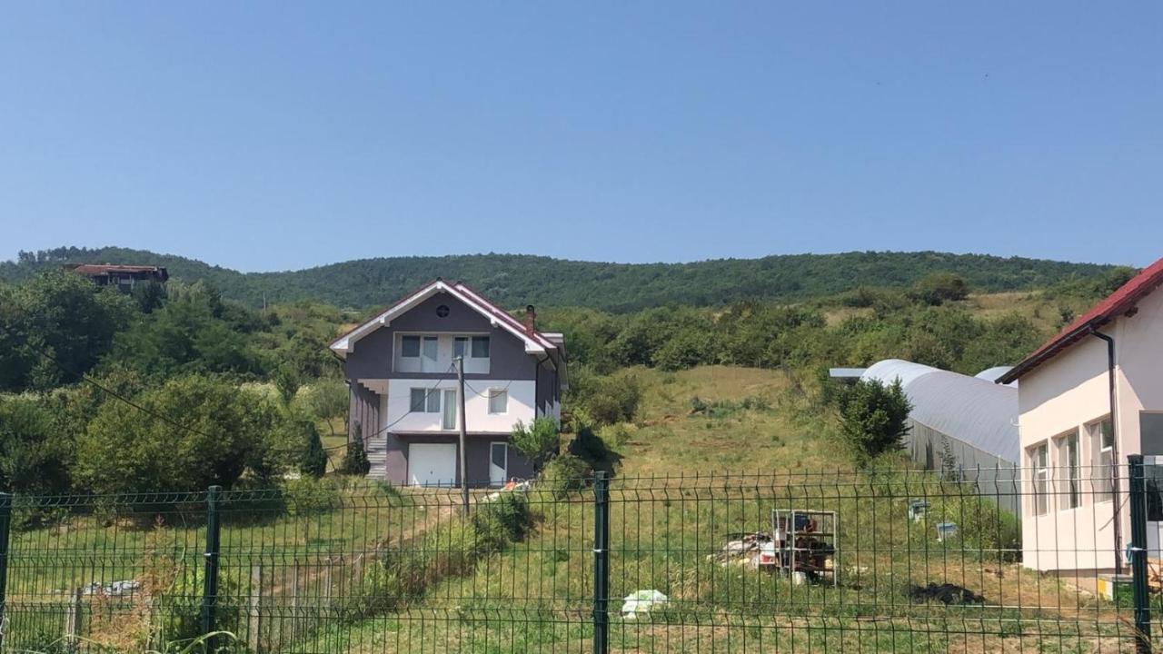 Appartamento Lidia House Alba Iulia Esterno foto